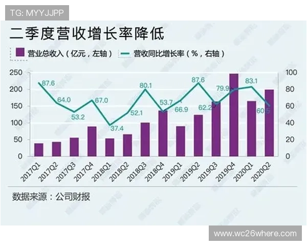 全面解析国外赌球平台的优势与风险，帮助玩家做出明智的投注决策
