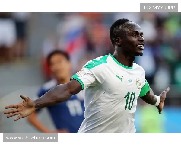 全面整理历届世界杯决赛比分完整版，助你了解足球历史上的每一次巅峰对决