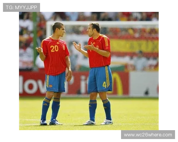 西班牙欧洲世界杯比赛场馆全景介绍与观赛指南